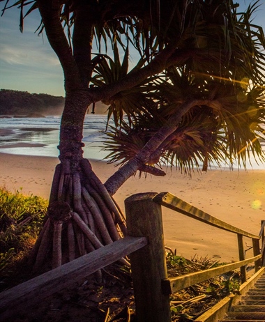 The Best Beaches in New South Wales