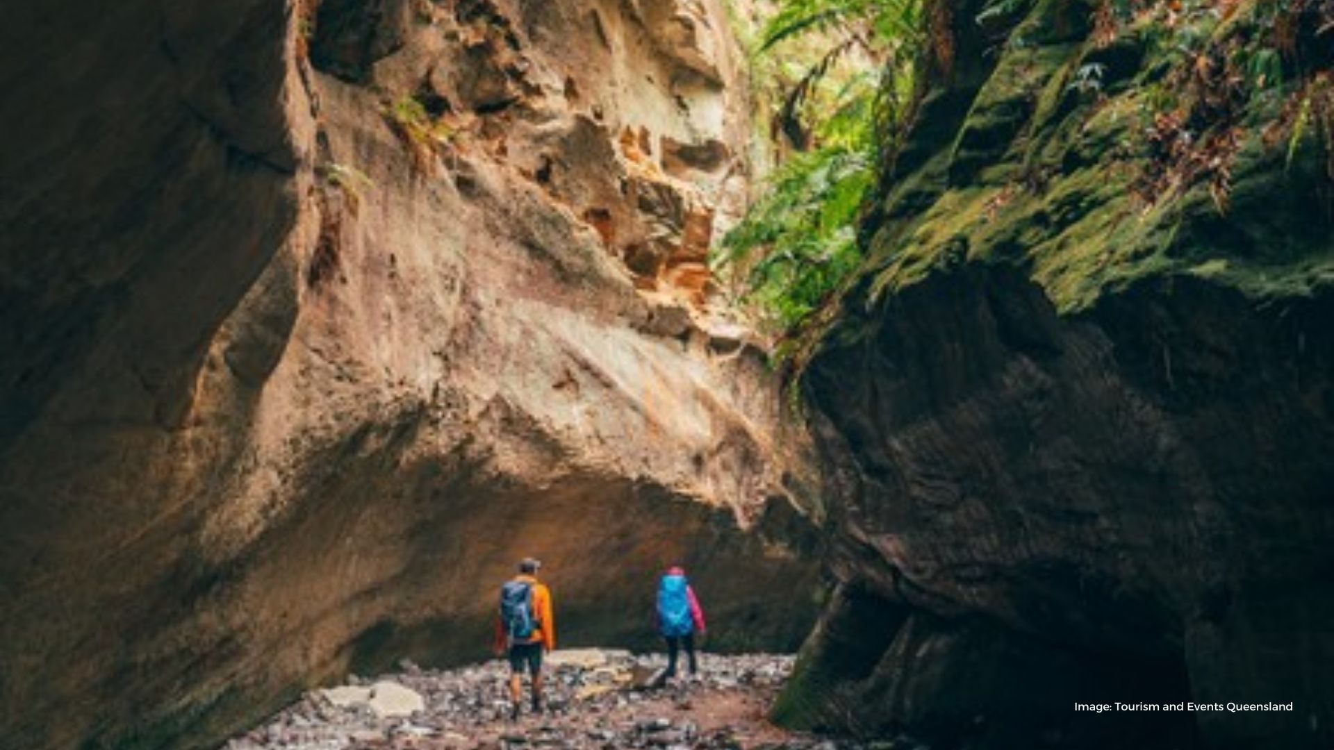 Two people walking through a towering gorge in the bush | Tourism & Events Queensland