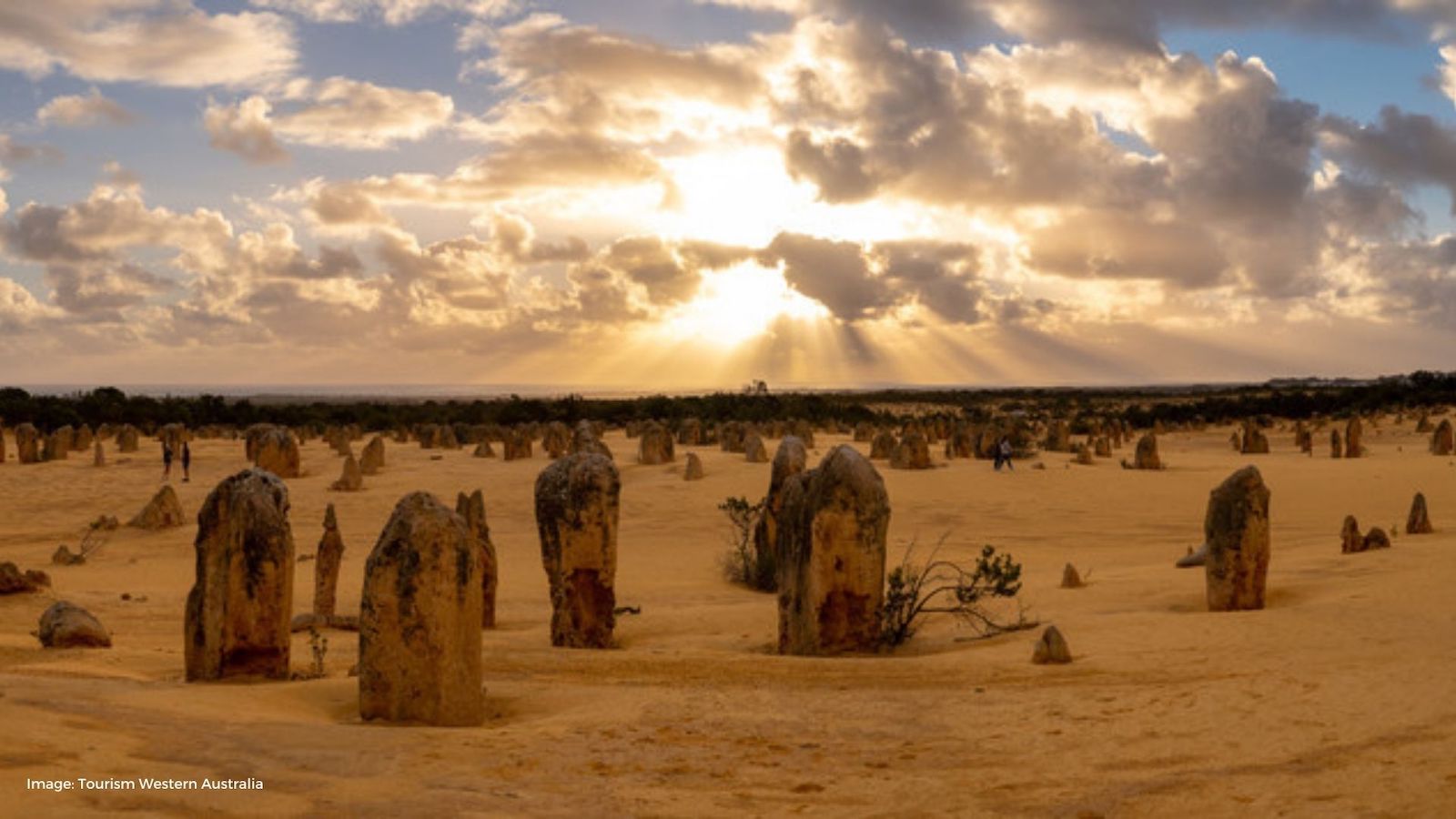 orange limestone structures coming out of the orange dirt ground | Tourism Western Australia