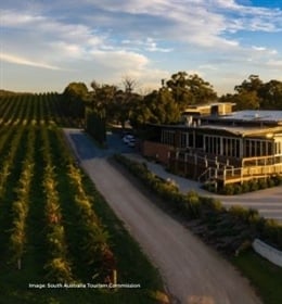 South Australia Wineries