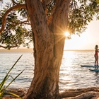 Family-friendly things to do in Sunshine Coast