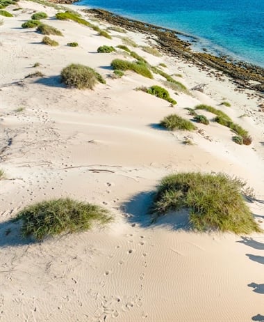 The Best Beaches in Western Australia
