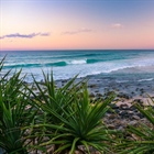 10 Things to See and Do in Noosa