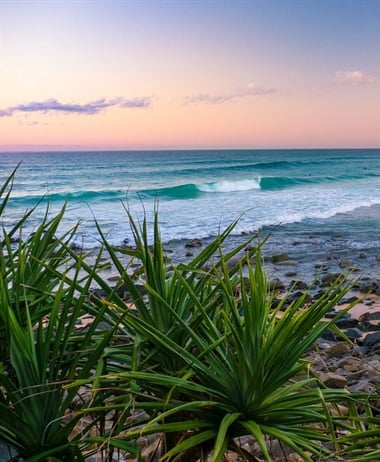 10 Things to See and Do in Noosa