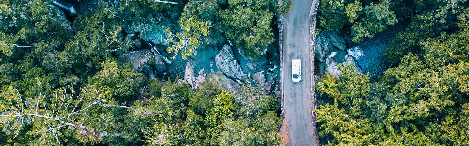 Rental Caravan vehicle driving among tall trees