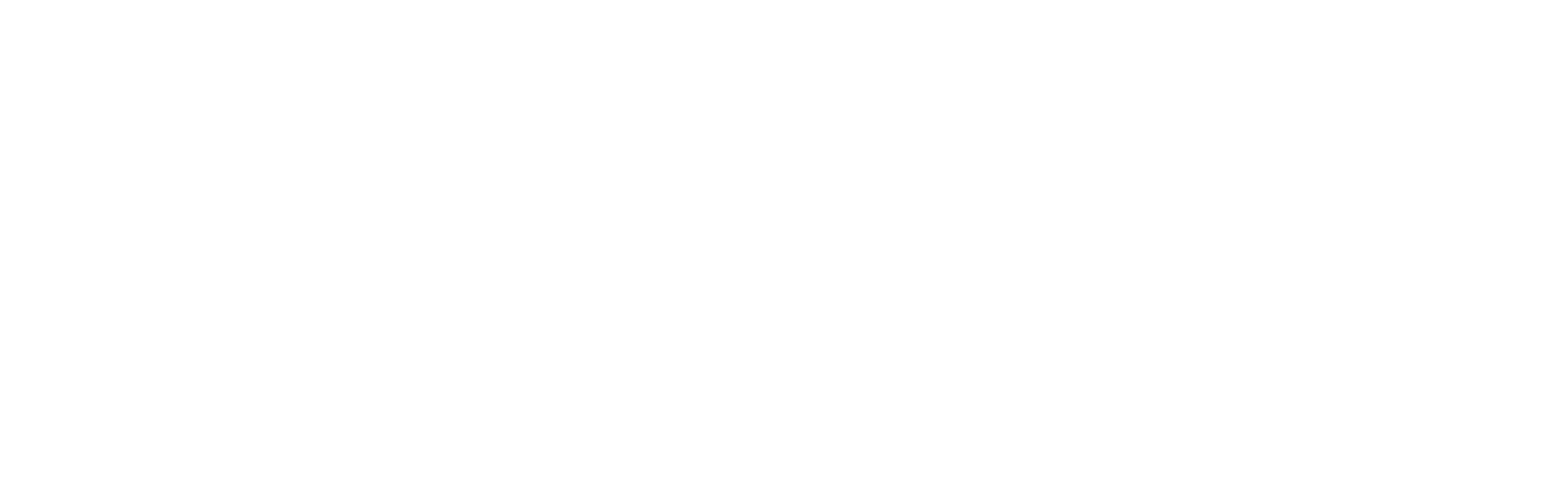 Apollo RV Holidays Logo White